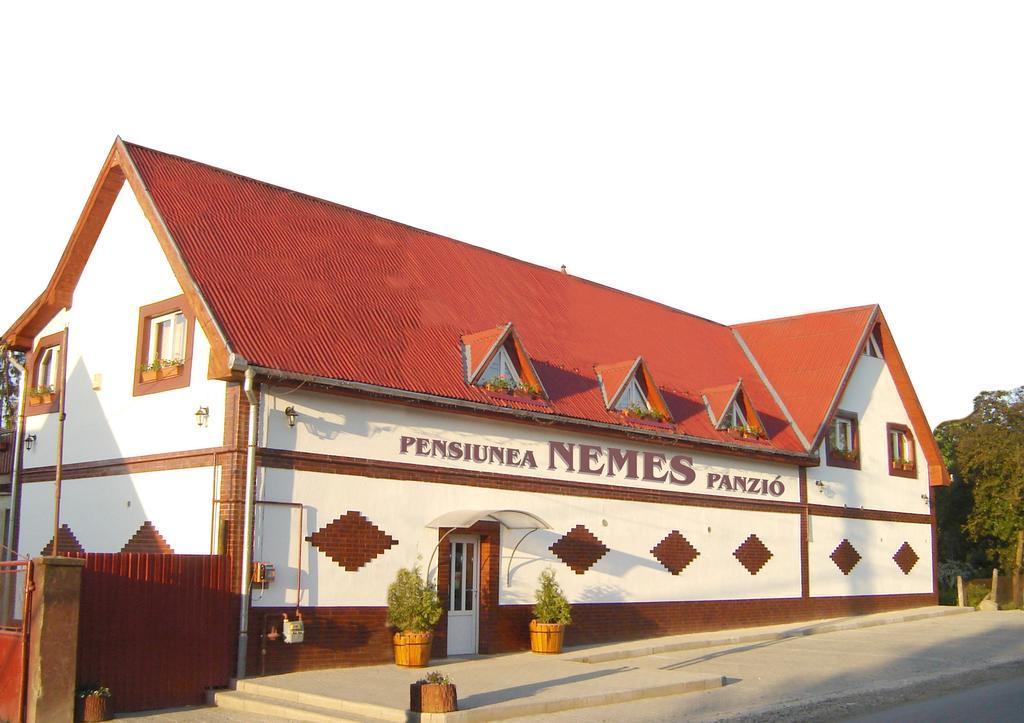Pensiunea Nemes Panzio Acăţari 외부 사진